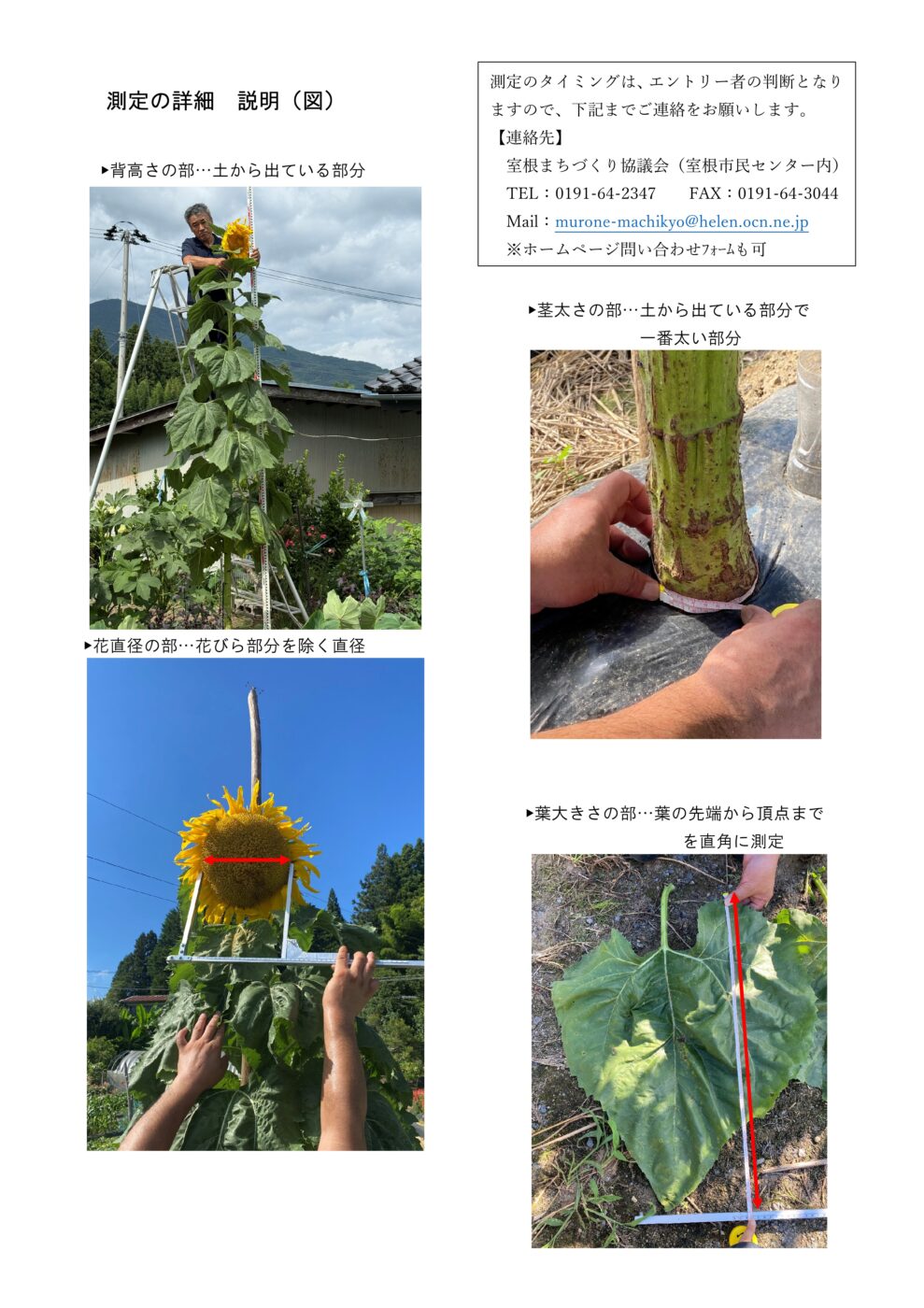 要項の画像➁